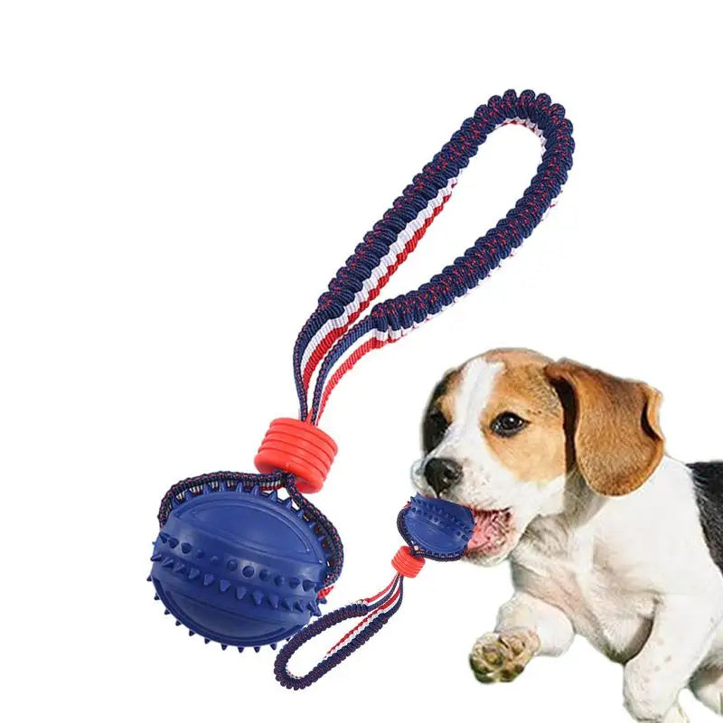 Interactive Dog Teether ™