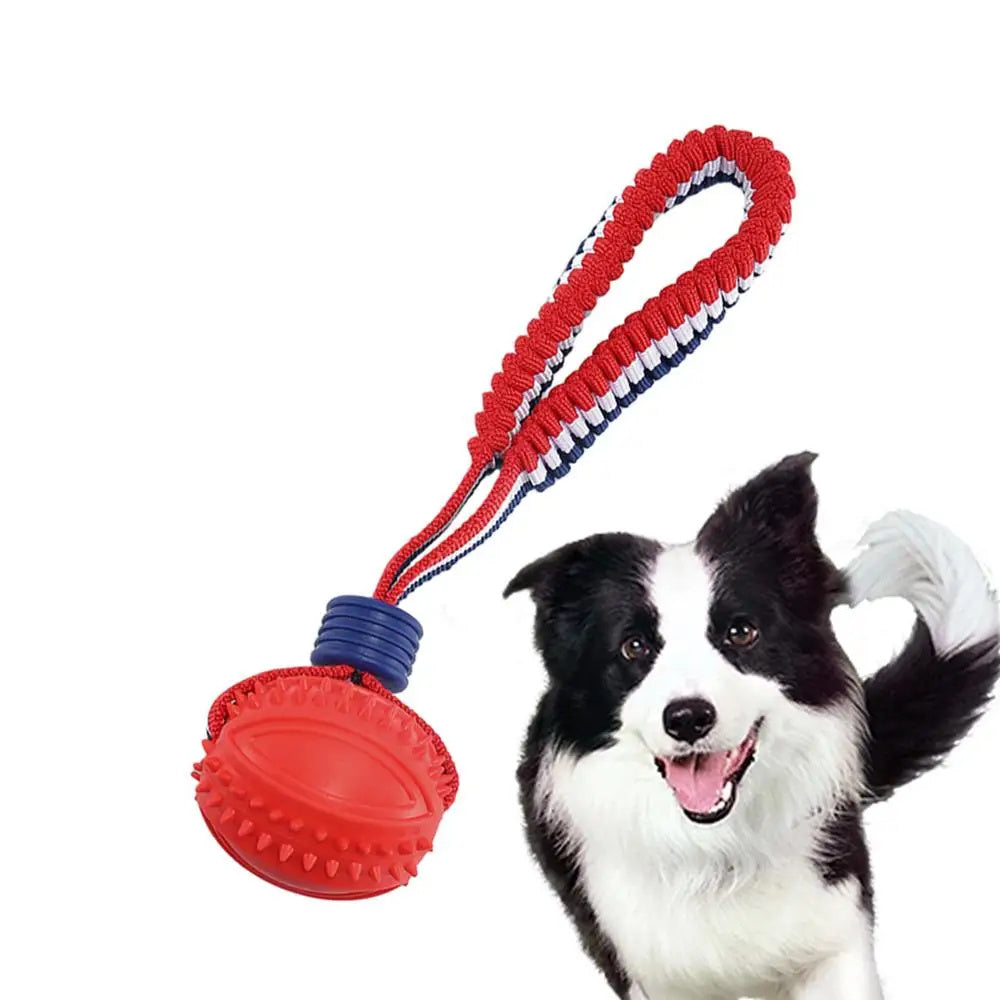 Interactive Dog Teether ™