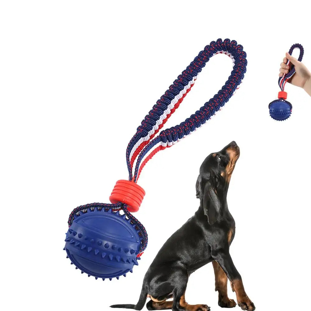 Interactive Dog Teether ™