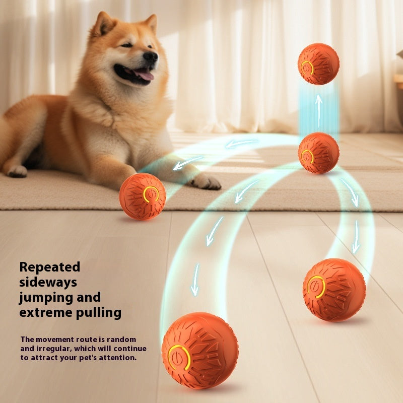 Pets Electric Jumping Ball™